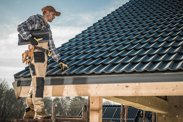 Best Roof Maintenance and Cleaning  in Chula Vista, TX